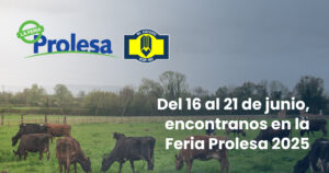 Feria prolesa online en uruguay de maquinaria